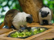 Tierpark Hellabrunn am 28.04.2026