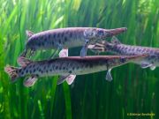 Tierpark Hellabrunn am 28.04.2026