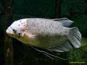 Tierpark Hellabrunn am 28.04.2026