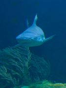 Tierpark Hellabrunn am 28.04.2026