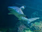 Tierpark Hellabrunn am 28.04.2026