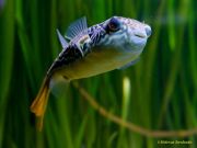 Tierpark Hellabrunn am 28.04.2026