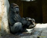 Tierpark Hellabrunn am 28.04.2026