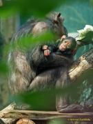 Tierpark Hellabrunn am 28.04.2026