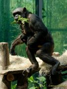 Tierpark Hellabrunn am 28.04.2026