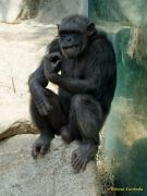 Tierpark Hellabrunn am 28.04.2026