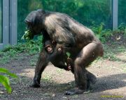 Tierpark Hellabrunn am 28.04.2026