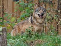 Hellabrunn am 31.10.2024