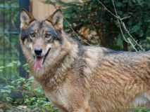 Hellabrunn am 31.10.2024