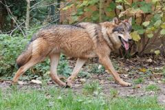 Hellabrunn am 31.10.2024