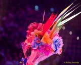 Holiday on Ice 2026 - CINEMA OF DREAMS