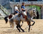 Carmina Burana Cavallo auf Schloss Kaltenberg 2022