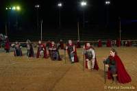 d160714-22005500-100-kaltenberger_ritterspiele