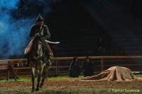 d160714-22082760-100-kaltenberger_ritterspiele