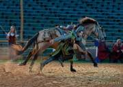 d170713-211757-700-100-kaltenberger_ritterspiele-generalprobe