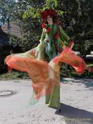 d180713-173037-250-100-kaltenberger_gauklernacht