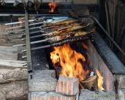 d190719-171150-300-100-kaltenberger_ritterturnier