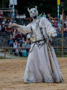 d190719-203531-100-100-kaltenberger_ritterturnier