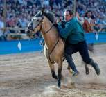 d190719-210838-310-100-kaltenberger_ritterturnier d190719-210838-310-100-kaltenberger_ritterturnier