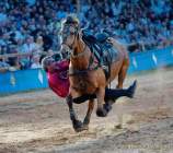 d190719-210848-790-100-kaltenberger_ritterturnier d190719-210848-790-100-kaltenberger_ritterturnier