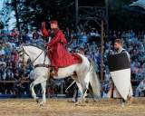 d190719-211251-160-100-kaltenberger_ritterturnier d190719-211251-160-100-kaltenberger_ritterturnier