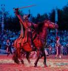 d190719-212849-690-100-kaltenberger_ritterturnier