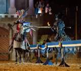 d190719-224909-790-100-kaltenberger_ritterturnier