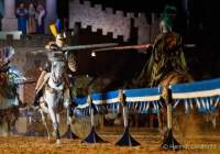 d190719-223724-140-100-kaltenberger_ritterturnier