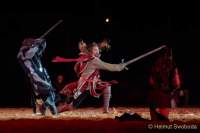 d190719-225331-300-100-kaltenberger_ritterturnier