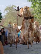 Kaltenberger Ritterturnier 2023 - Umzug