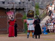 Kaltenberger Ritterturnier 2025 - Show/Turnier