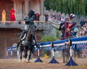 Kaltenberger Ritterturnier 2025 - Show/Turnier