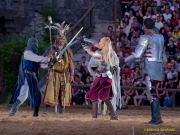 Kaltenberger Ritterturnier 2025 - Show/Turnier