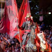 Kaltenberger Ritterturnier 2025 - Show/Turnier