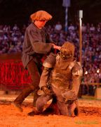 Kaltenberger Ritterturnier 2025 - Show/Turnier