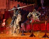 Kaltenberger Ritterturnier 2025 - Show/Turnier