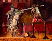 Kaltenberger Ritterturnier 2025 - Show/Turnier