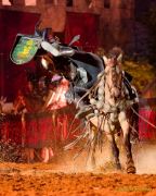 Kaltenberger Ritterturnier 2025 - Show/Turnier