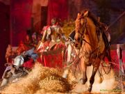 Kaltenberger Ritterturnier 2025 - Show/Turnier