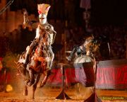 Kaltenberger Ritterturnier 2025 - Show/Turnier