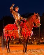 Kaltenberger Ritterturnier 2025 - Show/Turnier