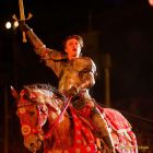 Kaltenberger Ritterturnier 2025 - Show/Turnier