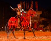 Kaltenberger Ritterturnier 2025 - Show/Turnier