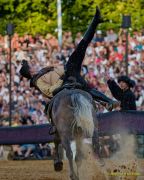 Kaltenberger Ritterturnier 2026 - Show/Turnier