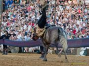 Kaltenberger Ritterturnier 2026 - Show/Turnier