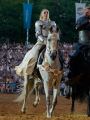 Kaltenberger Ritterturnier 2026 - Show/Turnier
