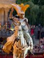 Kaltenberger Ritterturnier 2026 - Show/Turnier