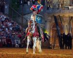 Kaltenberger Ritterturnier 2026 - Show/Turnier