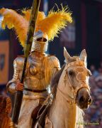 Kaltenberger Ritterturnier 2026 - Show/Turnier