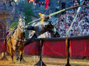 Kaltenberger Ritterturnier 2026 - Show/Turnier